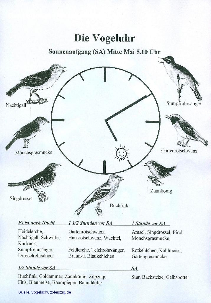 Vogeluhr
